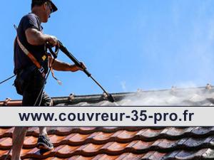 Travaux de nettoyage toiture 35