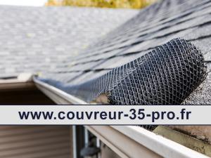 Travaux de nettoyage toiture 35