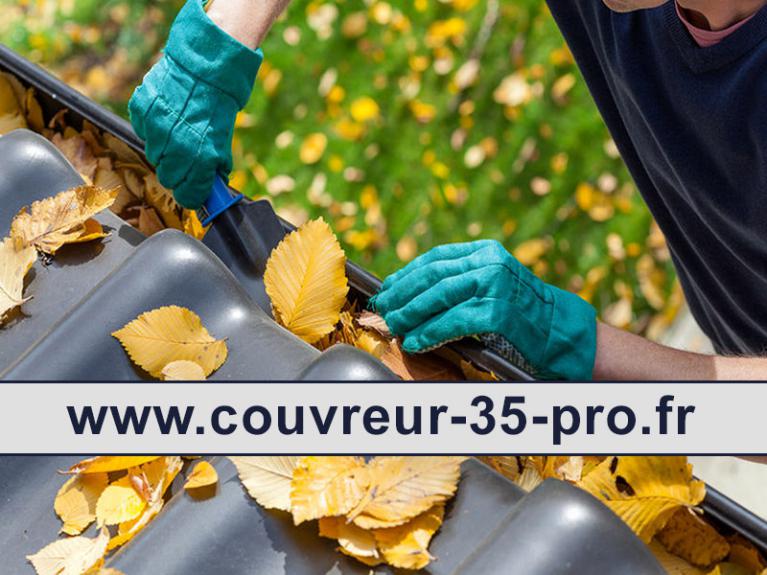 Travaux de nettoyage toiture 35