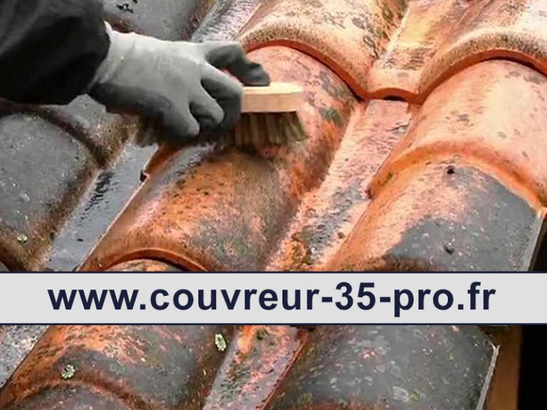 Travaux de nettoyage toiture 35