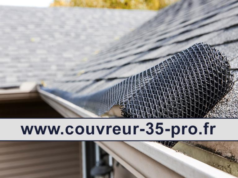 Travaux de nettoyage toiture 35